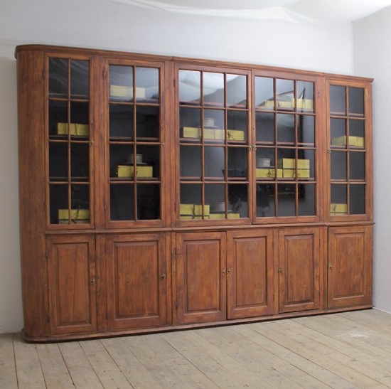 An C18th library cabinet